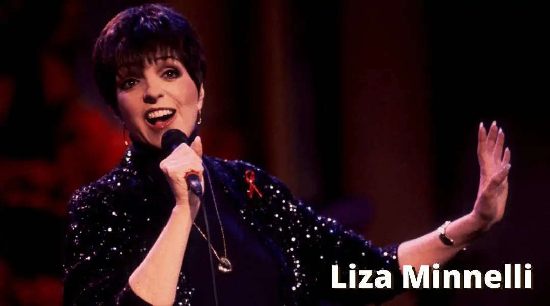 Liza Minnelli Singing